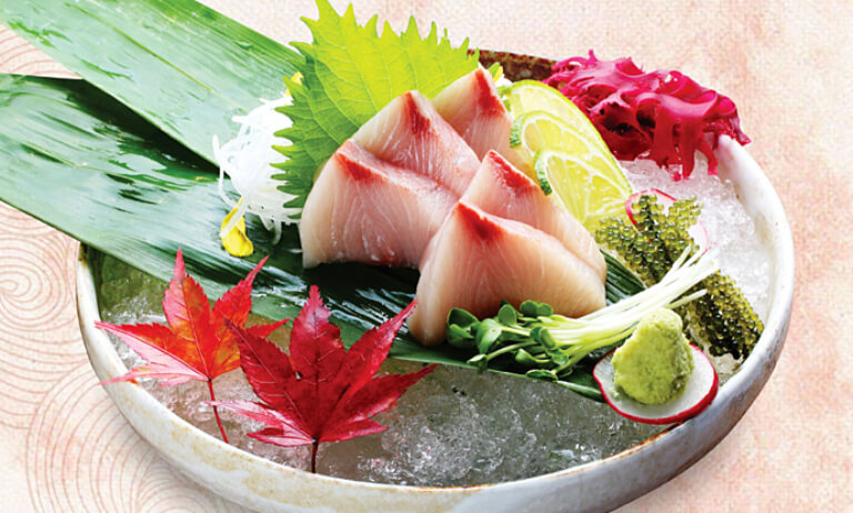 Cá bớp nấu nướng gì ngon? - Cá bớp sashimi