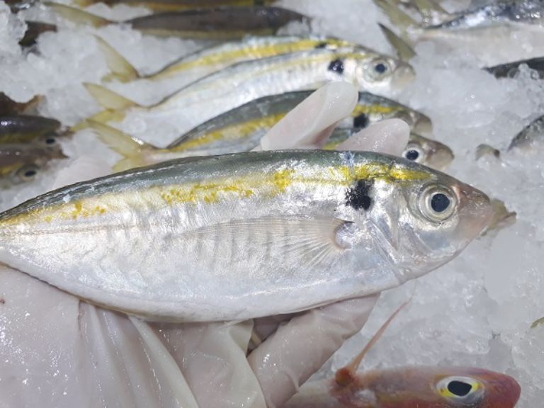 Cá chỉ vàng kho tiêu