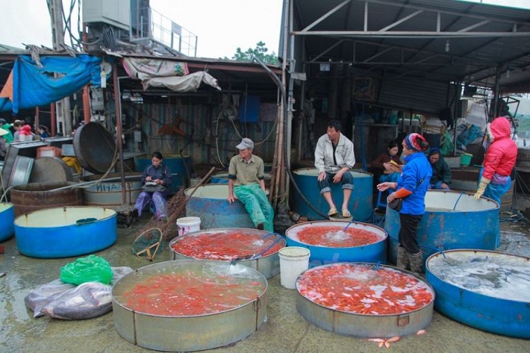 chợ cá yên sở bán cá ngừ hà nội