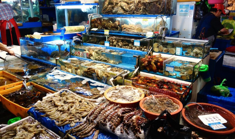 Chợ cá tại Đà Nẵng