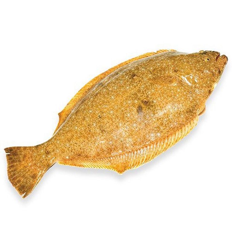 cá bơn vàng