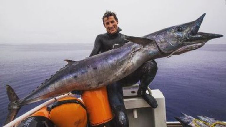 Một con cá thu ngàng khổng lồ với chiều dài lên tới 2.13 mét được bắt ở vùng biển nước Fiji.