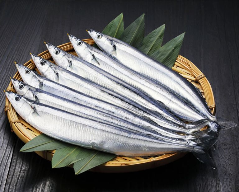 Cá thu là loài hải sản mang lại hàm lượng dinh dưỡng cao.