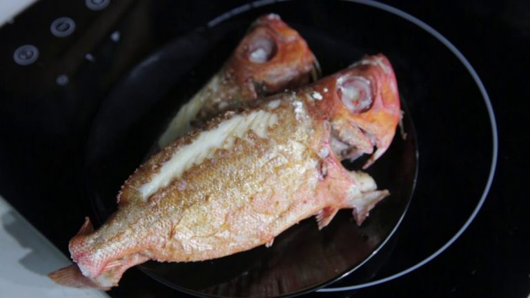 Cá Bã Trầu Nấu Món Gì Ngon? TOP 11 Món Ăn Hấp Dẫn Từ Cá Bã Trầu