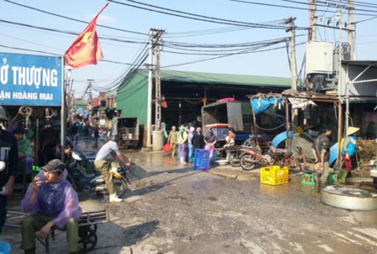 Mua cá chình ở Hà Nội - Chợ cá Yên Sở