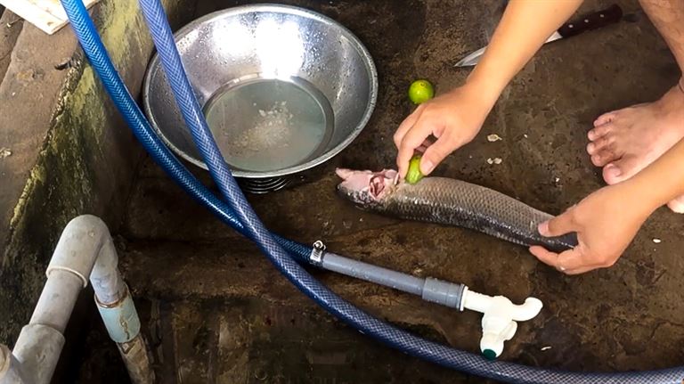 Sử dụng chanh chà xát lên mình cá lóc hoặc ngâm cá lóc trong hỗn hợp chanh, giấm để loại bỏ mùi tanh.