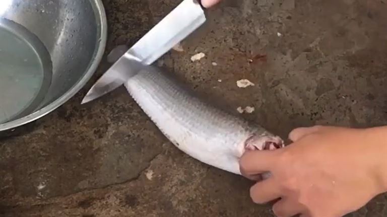 Dùng dao đánh sạch vảy ở cả hai mặt cá, cạo vảy ở sườn, trên bụng và quanh đầu cá lóc.