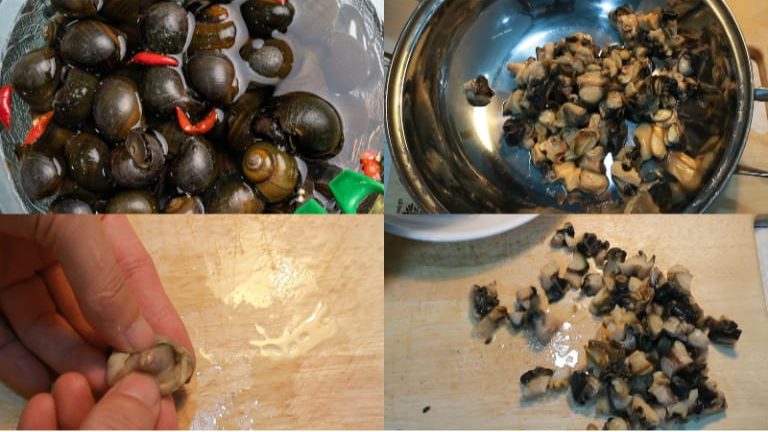 Vì ốc bươu là động vật ăn tạp nên bạn cần luộc kỹ ốc trước khi xào nhân để nấu cháo. 