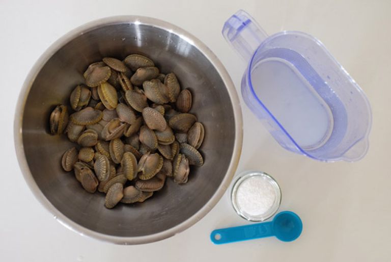 Mọi người ngâm ngao với nước muối pha loãng khoảng 2-3 tiếng là có thể mang ra chế biến món ăn 